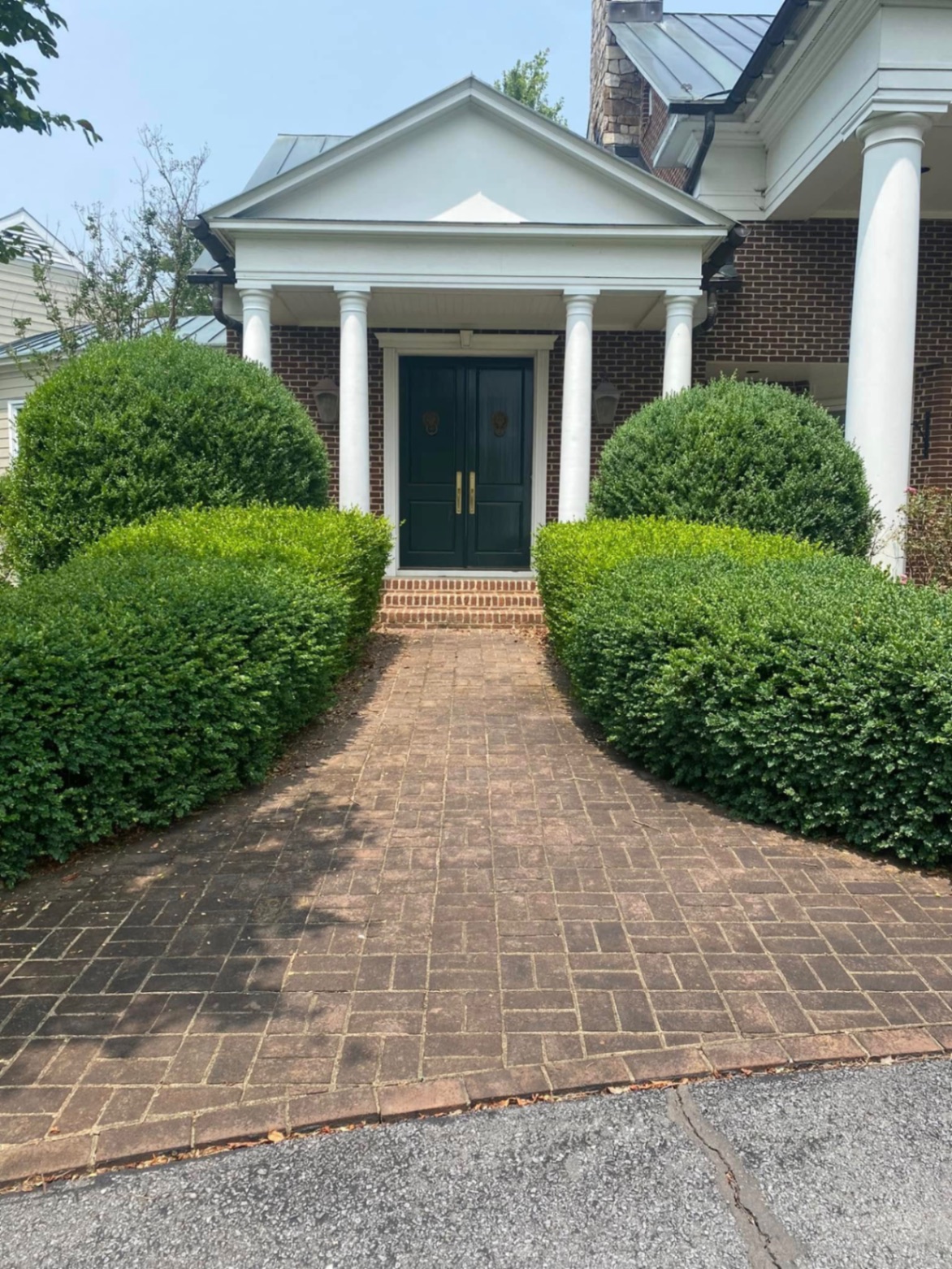 Brick walkway before power washing